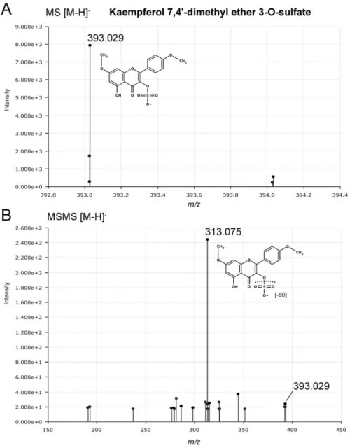 Figure  S13.  Targeted  MS/MS  identification  of  kaempferol-7,4'-dimethylether-3-O-sulfate  (putative)