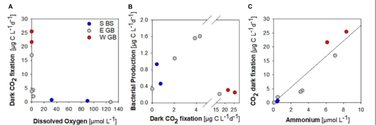 FIGURE 6 | Dark CO 2 fixation in the southern Baltic Sea (S BS), in the Eastern (E GB) and Western (W GB) Gotland Basin shown in relation to dissolved oxygen (A), bacterial production (B) and ammonium (r 2 = 0.91, p &lt; 0.0001) (C).
