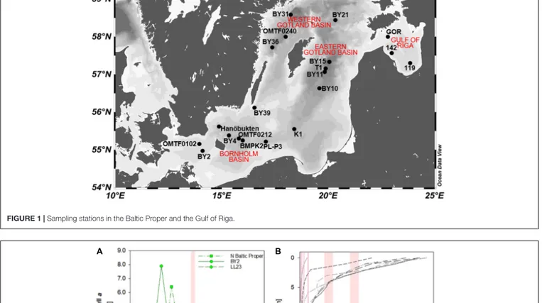 FIGURE 1 | Sampling stations in the Baltic Proper and the Gulf of Riga.