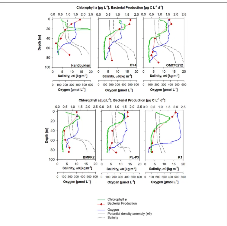 FIGURE 3 | Continued