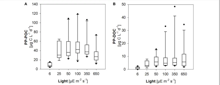 FIGURE 4 | Primary production of phytoplankton communities at different experimental light levels