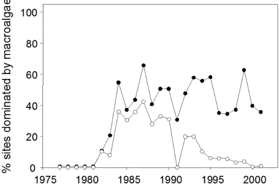 Figure 2. Prevalence of macroalgal dominance in Caribbean reef sites in each year between 1977  and 2001