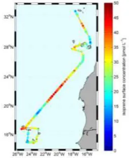 Abb. 4: Isopren im Oberflächenwasser des   subtropischen Nord-Ost Atlantik (Daten von Dennis  Booge)
