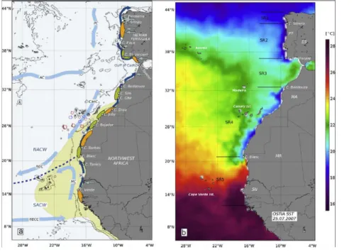 Figure 3.1:  (a) Canary Basin with main currents (light blue: surface currents; dark blue: slope current), major capes,  freshwater (blue arrows), dust inputs (&gt;10g m-2yr-1) shaded yellow), retention (orange) and dispersion (green) zones on the  shelf, 