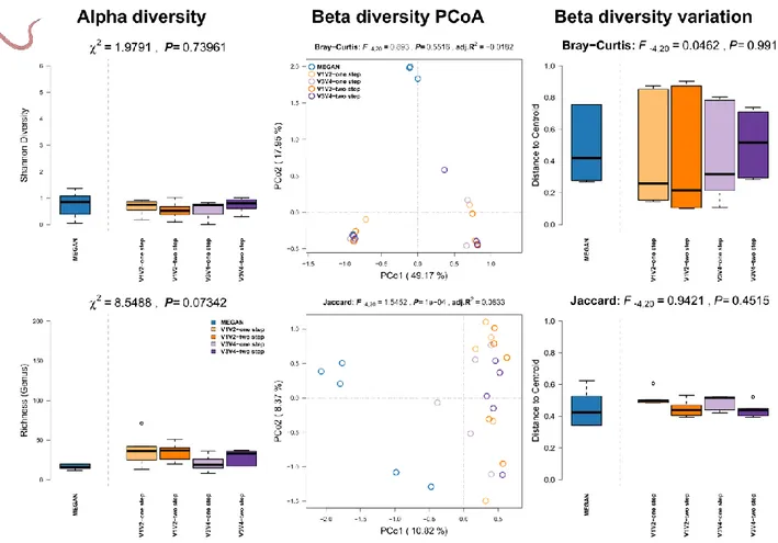 Figure  S8:  Comparison  of  community  alpha  diversity,  composition,  and  variability  of  Caenorhabditis elegans associated microbial communities among 16S rRNA gene amplicon and  shotgun  based  pipelines