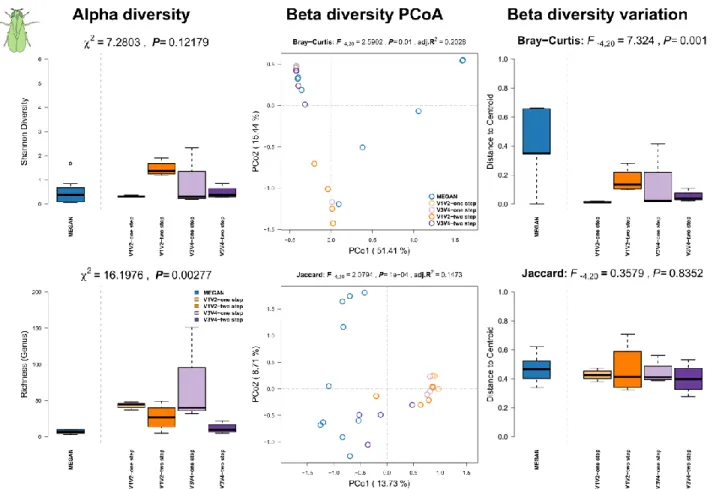 Figure S10: Comparison of community alpha diversity, composition, and variability of Drosophila  melanogaster gut tissue associated microbial communities among 16S rRNA gene amplicon and  shotgun  based  pipelines