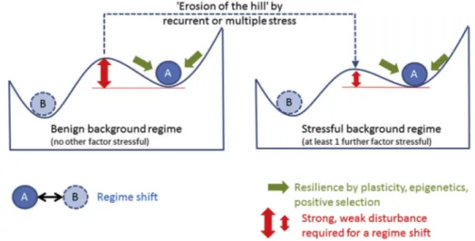 Fig. 3. Weaker or fewer extreme events (erosion of the ‘hill’ separating two phases A and B) are needed to trigger a phase shift when background stress is high (right panel) than when background stress is low (left panel).