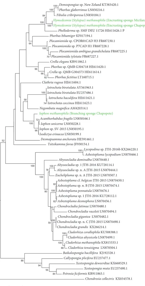 Figure SF1-4 Phylogeny of poecilosclerid sponges based on the cyctochrome c oxidase subunit I  (COI) genes