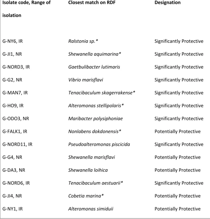 Table 1. Epibacterial strains [isolated from Agarophyton vermiculophyllum (GV) populations] 