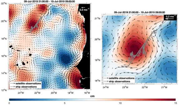 Abb. 2: Auslenkung der Meeresoberfläche (Farbkonturen) in cm, gemessen vom Satelliten am 10.07.2019