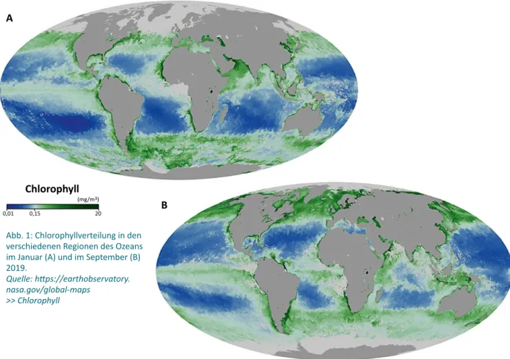 Abb. 1: Chlorophyllverteilung in den  verschiedenen Regionen des Ozeans  im Januar (A) und im September (B)  2019