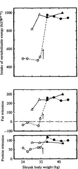 Fig. 3. Daily intake of metabolizable energy by lambs and retention of fat and protein