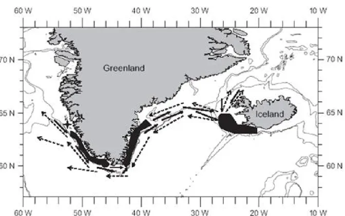 Figure 1.3: Migrations patterns of Atlantic cod around Greenland. Dashed arrows are indicating larval drifts with the Irminger, East Greenland and West Greenland Current