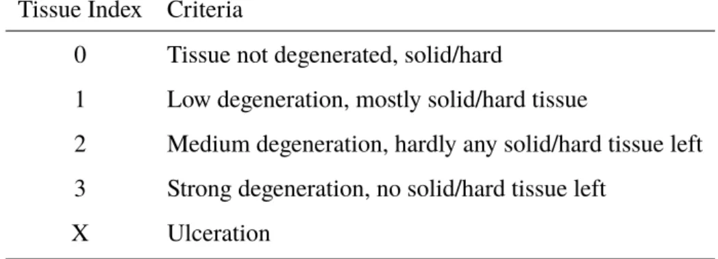 Table 2.1: Criteria to determine the liver tissue degradation Tissue Index Criteria