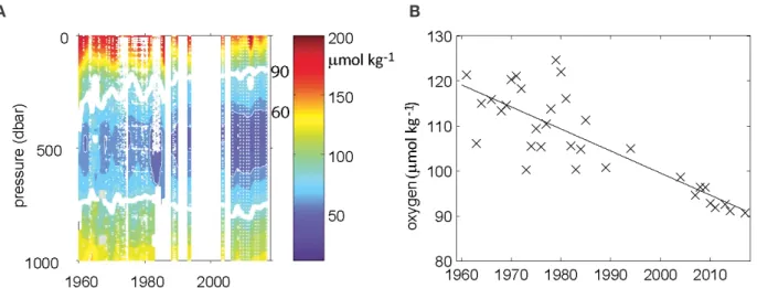 Figure 2.1.7  A) Dissolved oxygen concentration (µmol kg -1 ) versus time in the eastern tropical Atlantic Ocean (10° to 14°N, 20° to 30°W (area A in Stramma  et al., 2008)) extended with cruises until September 2016; and B) mean oxygen content of the laye