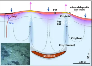 Figure 7.  Hydrothermal circulation at Ringvent. Subsurface hydrothermal flow is driven by a gradually cooling  but still-active subsurface sill that generates patterns of hydrothermal venting and recharge