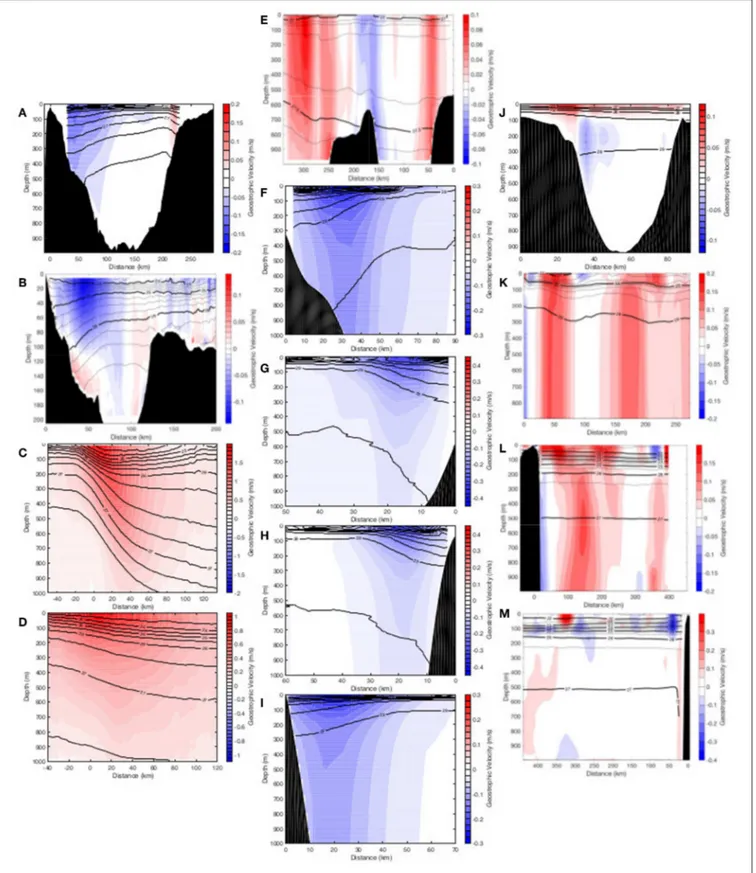 FIGURE 5 | Mean sections of geostrophic velocity from the Atlantic, Mediterranean and Indian Ocean