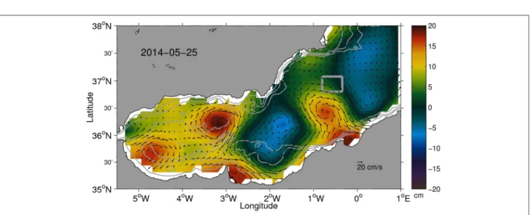 FIGURE 2 | Absolute dynamic topography and associated geostrophic currents for 25 May 2014 derived from gridded altimetry fields (CMEMS)