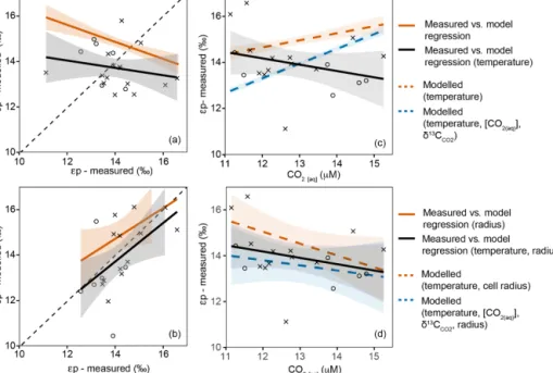 Figure 7. Variation in modelled and measured ε p in the upper 60 m with changing [CO 2(aq) ]