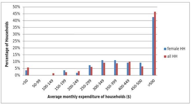 Figure 8: Average monthly expenditure per households for the population at large and for  female-headed households
