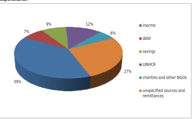 Figure 9: The breakdown of household sources of revenue adjusted to cover the declared  expenditures