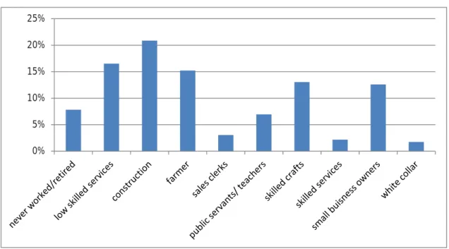 Figure 10: Original occupations of current heads of household (as a percentage) before coming  to Lebanon