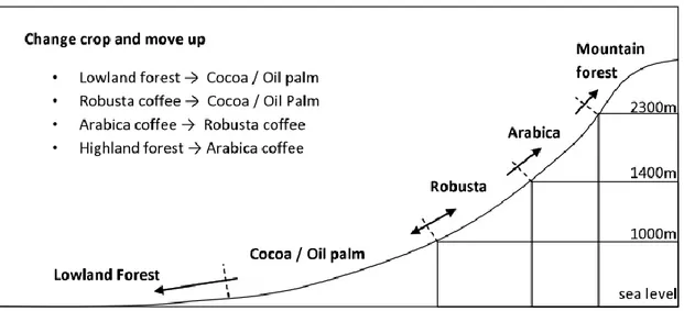 Figure 1: Possible changes in land use and crops induced by climate change 