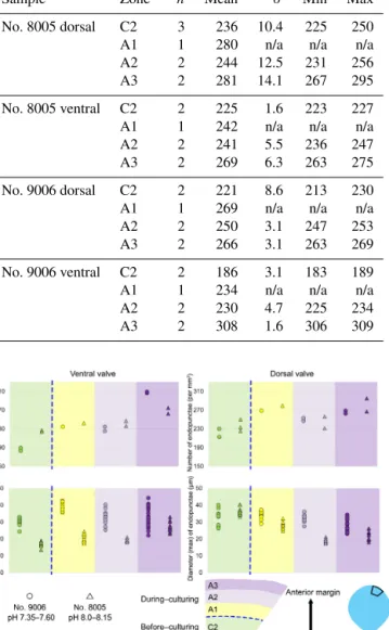 Figure 8. Comparisons of the fibre size and shape of M. venosa (ventral and dorsal valves) at different positions along the posterior–