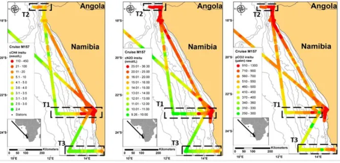 Fig. 5.3.2  Surface trace gas distribution in the African Eastern Boundary  