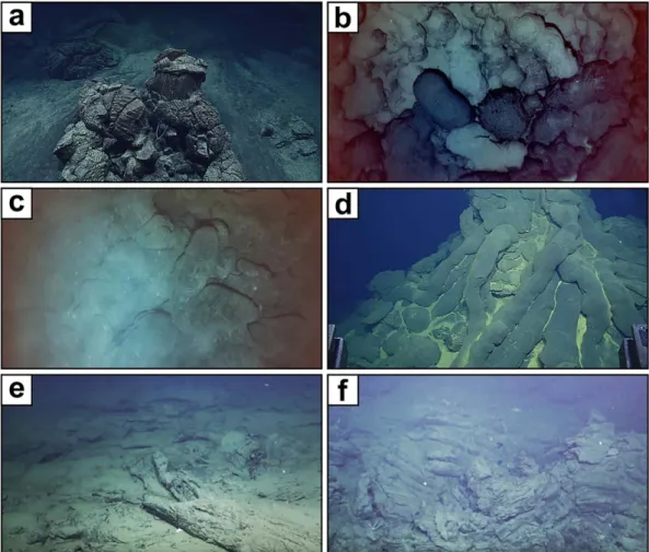 Figure 3. Seaﬂoor observations of lava morphologies and hydrothermal venting along the Mariana back-arc: (a) small isolated pillow lava outcrop surrounded by thick sediment (EX1605L-1 cruise; ROV dive 9) [Gray, 2016]; (b) older sedimented pillow ﬂows overl