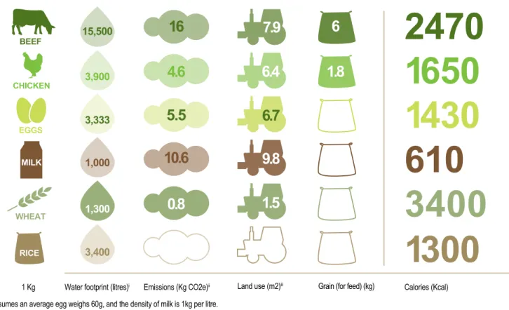 Figure 3: The ecological footprint of food