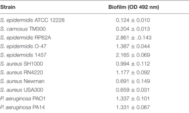 TABLE 2 | Biofilm formation of the investigated bacterial strains employing crystal violet assay.