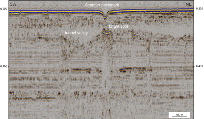 Figure 5.1.5: Seismic image of the Scanner pockmark