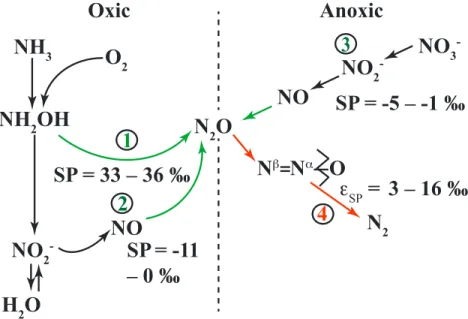 Figure 1. Microbial processes involved in marine N 2 O production (green) and consumption (red) under oxic ([O 2 ] &gt;