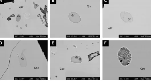 Fig. 3. Representative BSE images of glass inclusions hosted in clinopyroxene. A) Several glass inclusions with variable shapes in a clinopyroxene (U1438E-13R-CC, 31–34 cm).