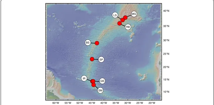 Fig. 1 Sampling area of Bathymodiolus mussels along the Mid-Atlantic Ridge. MG = Menez Gwen, LS = Lucky Strike, RB = Rainbow, BS = Broken Spur, SP = Snake Pit, IR = Irina, QS = Quest, SM = Semenov