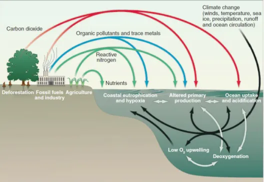 Figure  2-3.  Schematic  of  human  impacts  on  ocean  biogeochemistry  either  directly  via  fluxes  of  material  into  the  ocean  (coloured  arrows)  or  indirectly  via  climate  change  and  altered  ocean  circulation  (black  arrows)