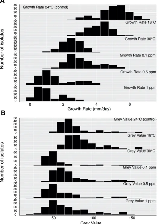 Figure 1. The distribution of growth rate (A) and grey value (B) for 164 isolates of Parastagonospora  nodorum growing under different temperatures and fungicide concentrations
