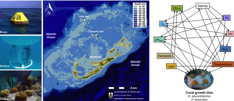 Fig. 1. Map of Bermuda study sites and environmental controls on calcification. The buoy, sensors, and in situ growth are presented next to a bathymetry map of Bermuda showing the locations of Hog Reef and Crescent Reef