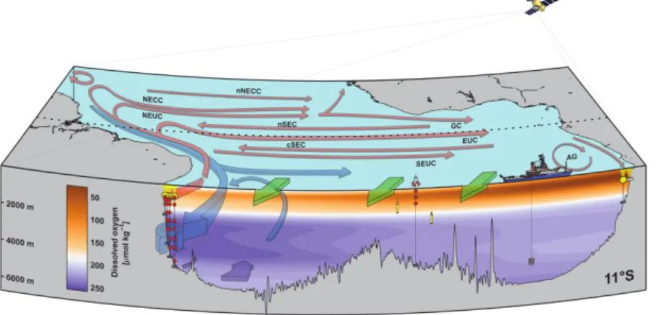Fig. 5.4: Schematic sketch  of the equatorial upper  ocean currents and the  variability of the western  boundary current system  off Brazil as well as the  Atlantic Meridional  Overturning Circulation  measured at 11ºS  (TRACOS array)