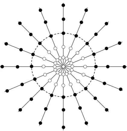 Figure 2.12. The 3D ZTE k-space is covered with 1D spoke in a center-out radial  fashion white points are non-acquired data, black points represent acquired data