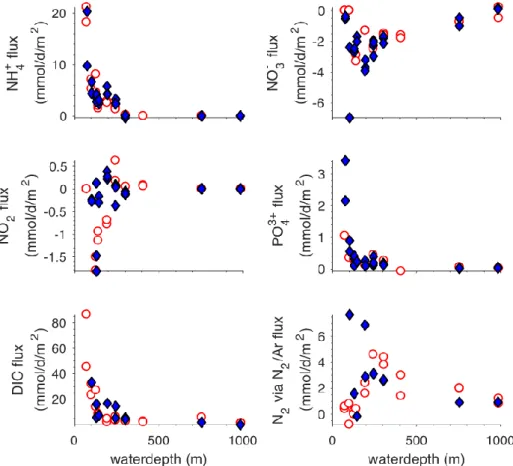Fig. 5.6:  Preliminary  in  situ  fluxes  of  various  solutes  across  the  sediment  water  interface