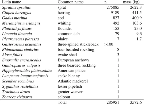 Table  4.2.1  Fish  catch  composition  AL491.  For  cod,  the  number  of  individuals  for  which  single fish measurement and samples were taken was 659, for whiting 188