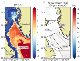 Figure 2: Snapshot of (a) sea surface temperature and (b)  surface vertical vorticity component after 9.5 years; (c) five  year average (year 6 to 10) of vertical velocity at 900m