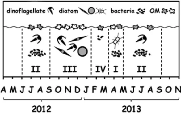 Fig. 8. Seasonal pattern of ecosystem development in Boknis Eck.