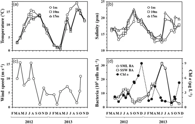 Fig. 2. Variations of environmental parameters and organic components in the SML and SSW during the study period (April 2012–November 2013) (a) temperature and (b) salinity at 1 m (SSW), 10 m and 15 m depth; (c) the wind speed; (d) chlorophyll a concentrat