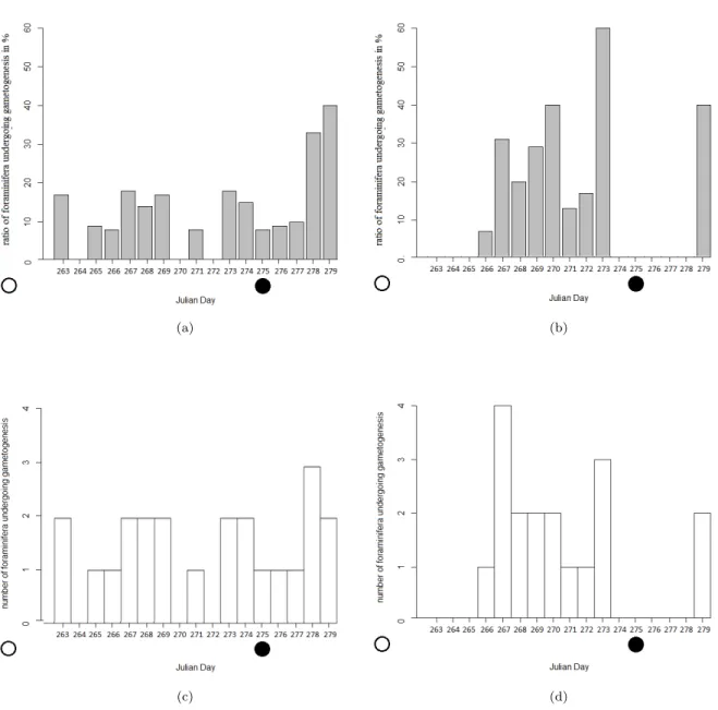 Figure 12: Comparison of the ratio and the number of foraminifera undergoing gametogenesis per day for treatment and control: left: Control, right: Treatment, upper row: Ratio of foraminifera which underwent gametogenesis per day (Equation 1), lower row: N