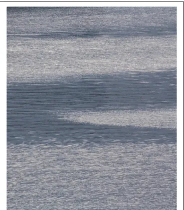 FIGURE 2 | Surface slicks attenuate small and capillary waves in the upper cm of the ocean, which causes a significant reduction of the glittering effect of sun beams