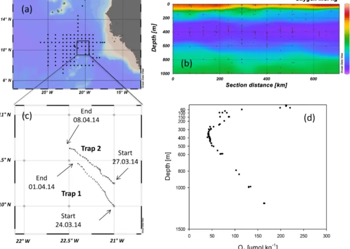 Figure 1. Map of (a) the study area and (b) depth distribution of oxygen concentration (mol kg −1 ) in the eastern tropical North Atlantic (ETNA) during the RV Meteor 105 cruise, when two surface-tethered drifting sediment traps (STDT) were deployed (c)