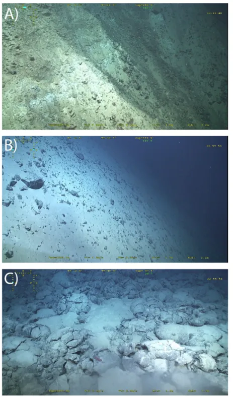 Figure 11. ROV Video captures of the termination, apron, and volcanic seaﬂoor at the rift valley ﬂoor at 13820 0 N